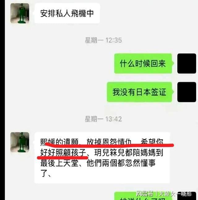 说了公道话 透露了大s遗愿安排孩子的原因CQ9电子游戏平台上大分他为汪小菲父子(图6)