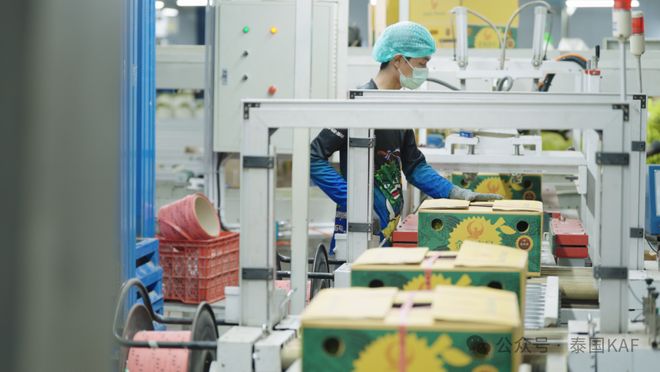 ：从泰国果园到中国餐桌的品质传奇CQ9电