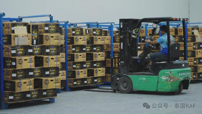 ：从泰国果园到中国餐桌的品质传奇CQ9电子专用平台泰国KAF集团(图4)