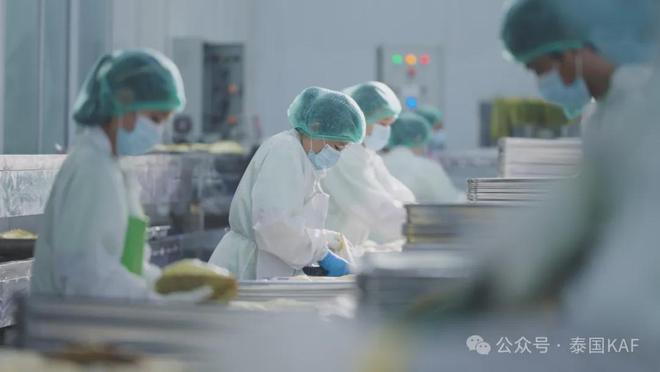 ：从泰国果园到中国餐桌的品质传奇CQ9电子专用平台泰国KAF集团(图5)